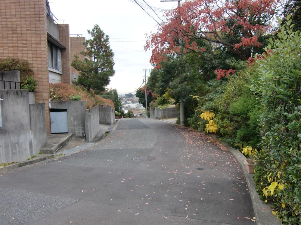 Local photos, including front road. Local (12 May 2013) Shooting