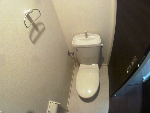 Toilet. It is a simple toilet.