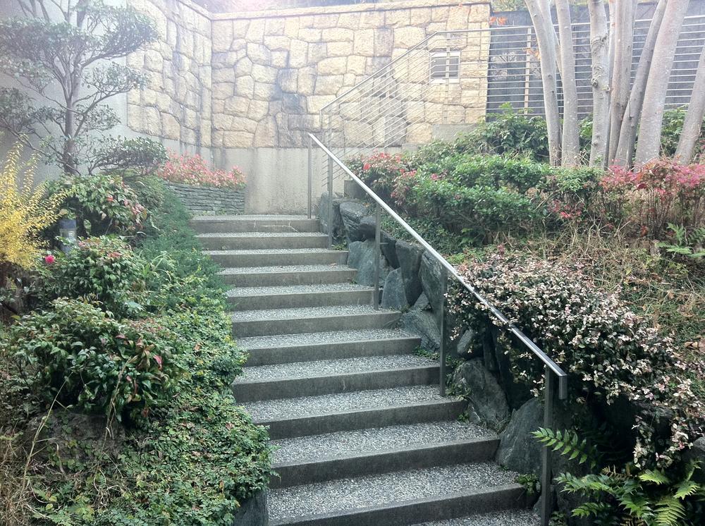 Entrance. Local (12 May 2011) Shooting