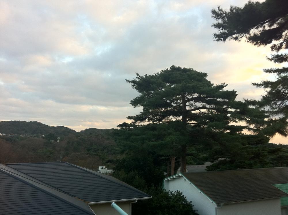 View photos from the dwelling unit. View from the site (December 2011) shooting