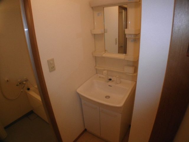 Washroom. Shampoo with Dresser