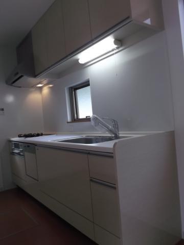 Kitchen. Indoor (12 May 2013) Shooting