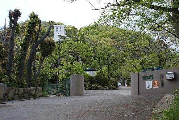 Junior high school. Yamate 485m until junior high school (junior high school)