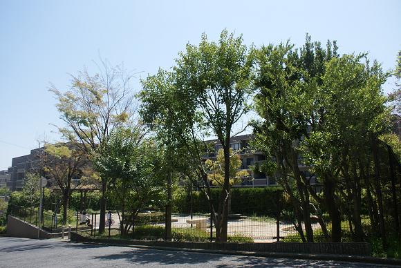 park. 485m until Asahigaoka third children's amusement park (park)