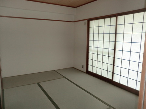 Other room space. Japanese style room