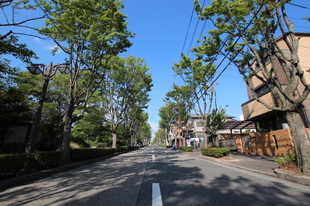 Other. Local (June 2013) Shooting