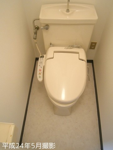 Toilet. Toilet