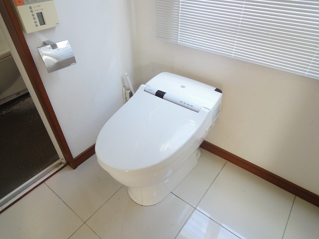 Toilet