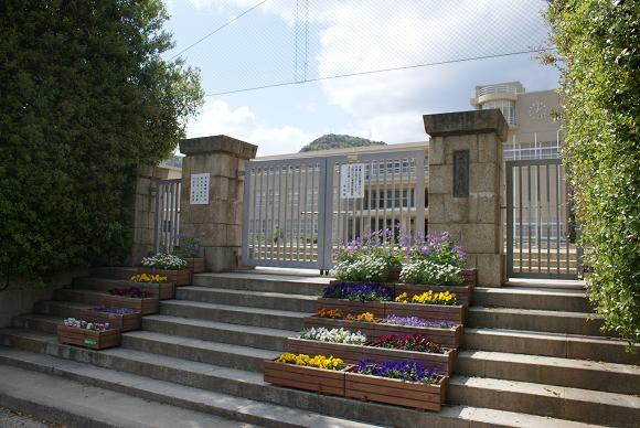 Primary school. Yamate up to elementary school (elementary school) 481m