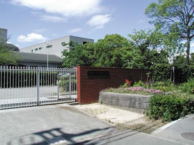 Primary school. Tide 1700m walk about 22 minutes to elementary school