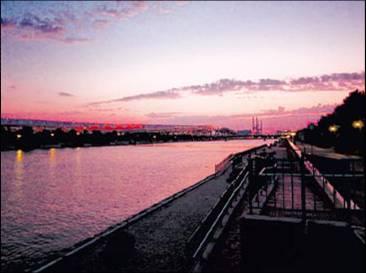 Other local. Tide Ashiya evening grilled