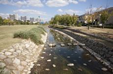 Other local. Water park