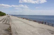 Other local. Fishing park