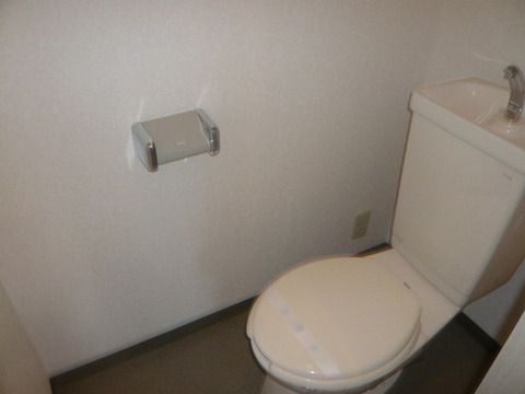 Toilet. Separate toilet