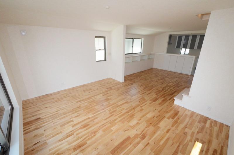 Living. Indoor (June 2013) Shooting