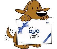 Present. Entitled to customers who visit us have gotten a look at Sumo, We will present entitled to a QUO card 500 yen! ! For more information please do not hesitate to contact us to buy and sell in charge. ※ But only to customers who had you all fill in the questionnaire.