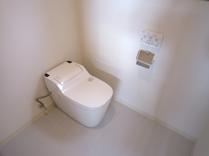 Toilet. Toilet spacious space