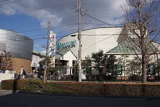 Supermarket. 400m until Peacock Store (Super)