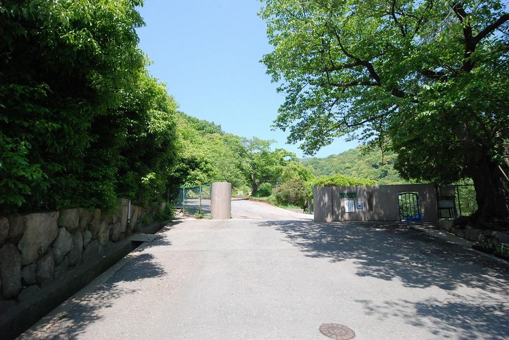 Junior high school. Ashiya Tateyama hand until junior high school 1599m