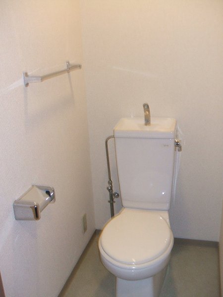 Other. Toilet