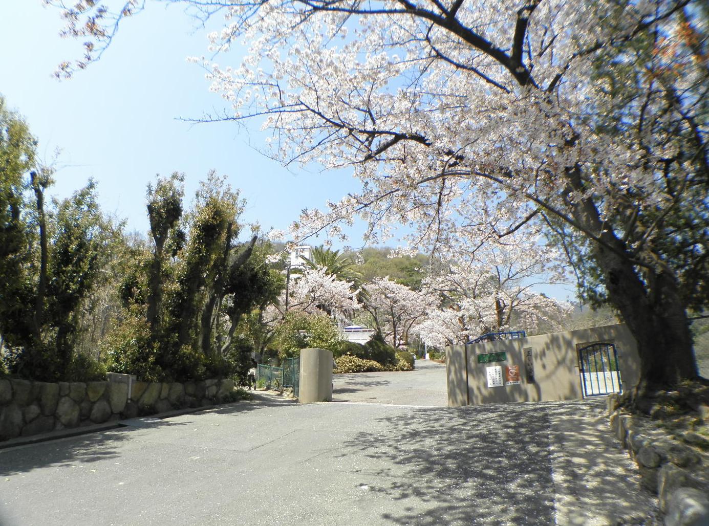 Junior high school. Ashiya Tateyama hand junior high school (junior high school) up to 881m