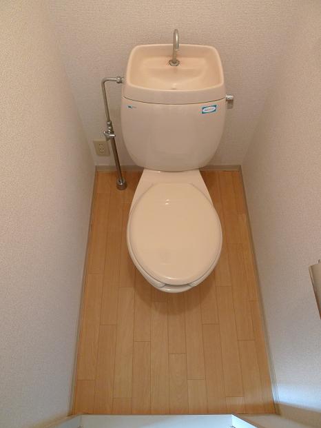 Toilet. A separate room is a reference photograph