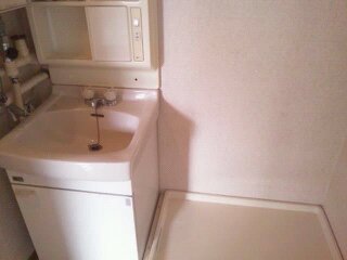 Washroom. There is indoor washing machine Storage