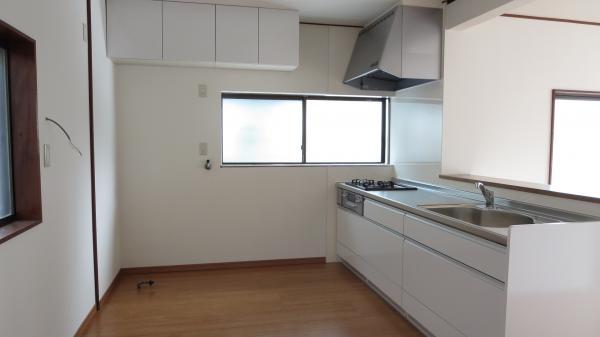 Other introspection. Spacious refrigerator, Cupboard space