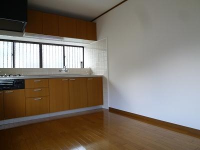 Kitchen. Indoor (12 May 2013) Shooting