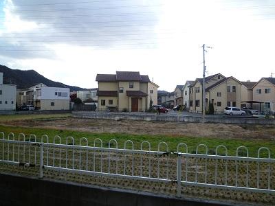 Garden. Local (12 May 2013) Shooting