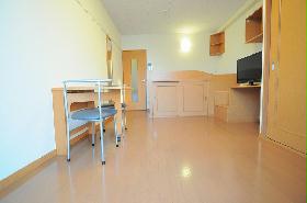 Living and room. Functional studio