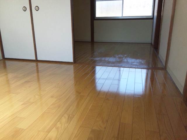 Living and room. Western-style 4.5 Pledge