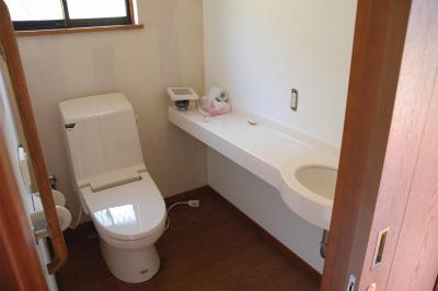 Toilet. Indoor (10 May 2013) Shooting