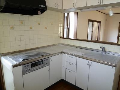 Kitchen. Indoor (04 May 2012) shooting