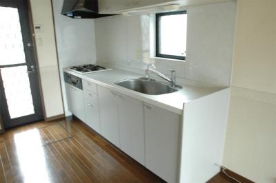 Kitchen. Indoor (12 May 2013) Shooting