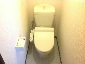 Toilet. Warm water washing toilet seat