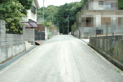 Local photos, including front road. Local (June 2013) Shooting