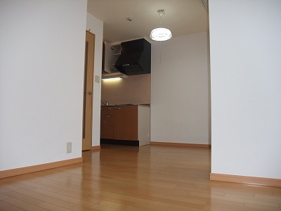 Living and room. Wide enough to live alone