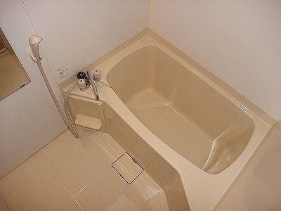 Bath. Breadth of the bath is also enough