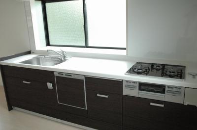 Kitchen. Indoor (10 May 2012) shooting