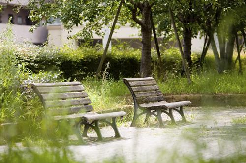 park. 224m to Hojo Park