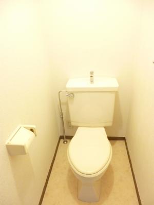 Other. Is a beautiful toilet disinfection already.