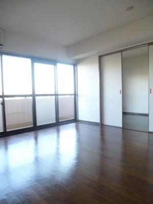 Living and room. It shines. Flooring.