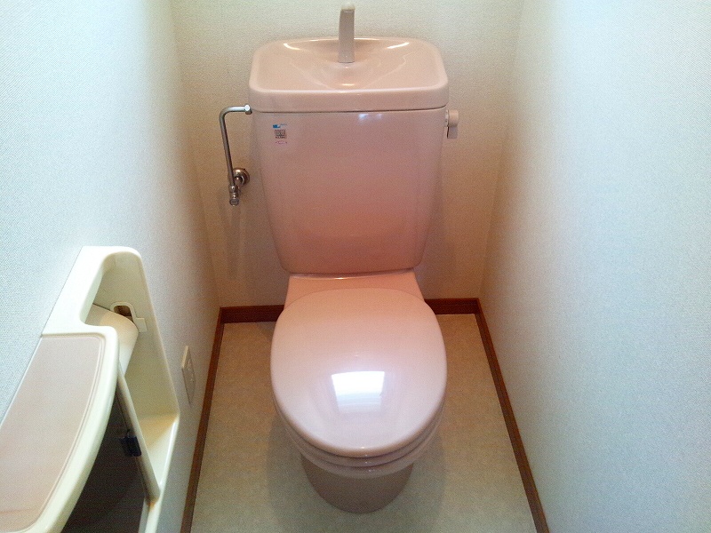 Toilet. Western-style toilet