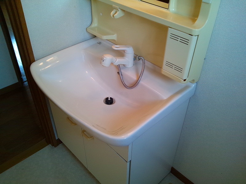 Washroom. With shampoo dresser