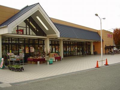 Kitchen. Shop of housewife 530m