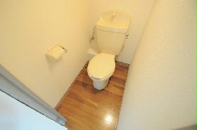 Toilet. The comfort toilet