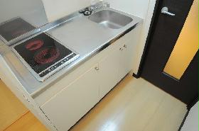 Kitchen. Cooking also easy travel in a two-burner electric stove