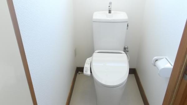 Toilet. New toilet It was sewer connection