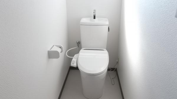 Toilet. Second floor new toilet